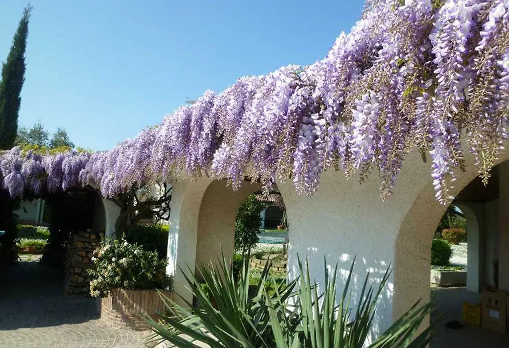 Villa Dolcevita-1